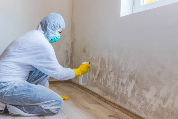 Hvac And Air Duct Mold Remediation inspection of HVAC system in Summit